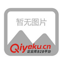 新宇牧業(yè)供種牛西門塔爾、夏洛萊牛、利木贊牛(圖)